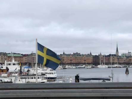 52736415_10213774618175709_1299620703921766400_n