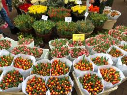 53458178_10213866212065499_5784833365844688896_n