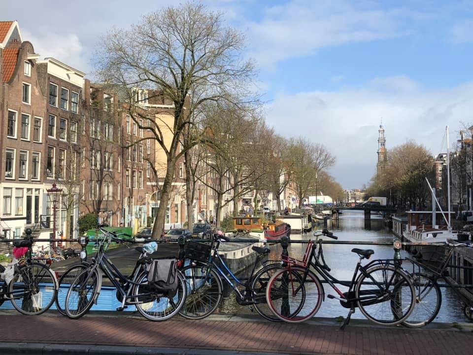 54395476_10213866207625388_1994518147234791424_n