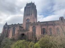 57032182_10214086040641076_7499851199122767872_n