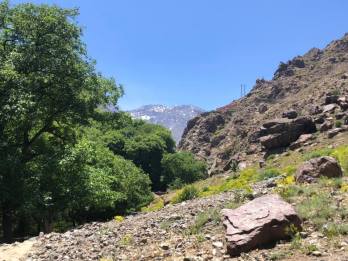 61446223_10214365911797680_7226538863592734720_n